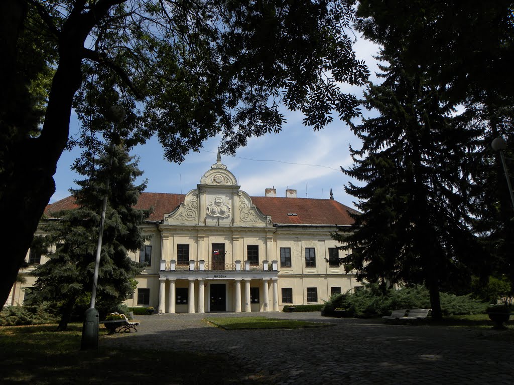 Baroque-Classicist manor house built in 1786 in Trebišov / kaštieľ barokovo-klasicisticky z roku 1786 v Trebišove by Milan Škovran