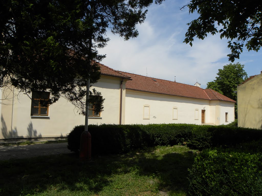 Baroque-Classicist manor house built in 1786 in Trebišov / kaštieľ barokovo-klasicisticky z roku 1786 v Trebišove by Milan Škovran