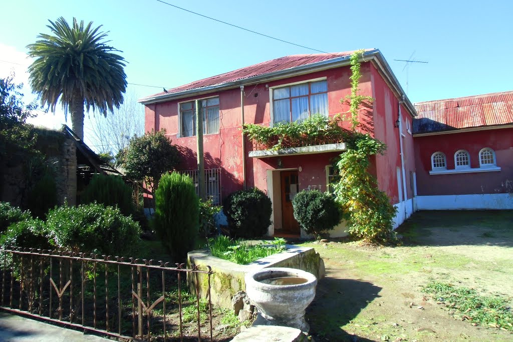 Ninhue, Región del Bío Bío, Chile by Patricio Ahumada