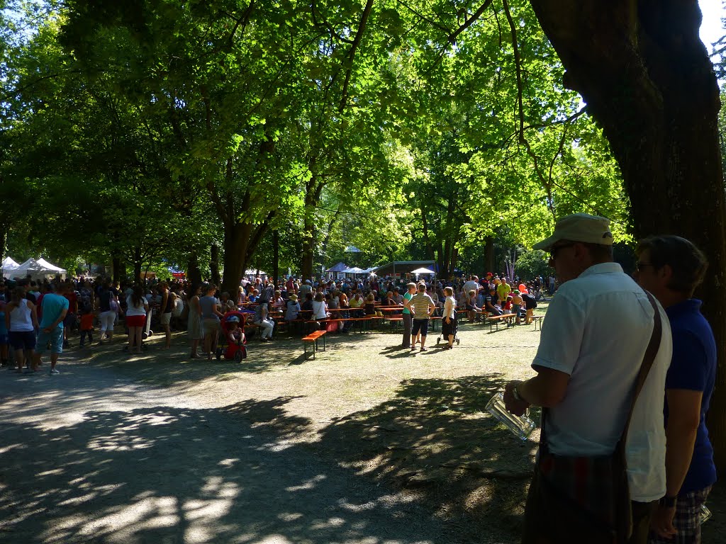 Ringparkfest Würzburg 2015 by R Sch (cammino)