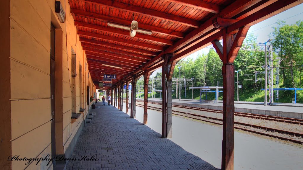 Railway Station in Zakopane by Denis Kolec