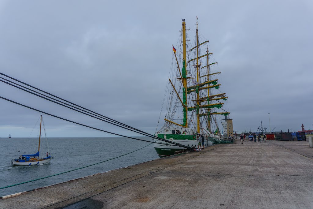 Alexander von Humboldt II by herrmann loens (alfe…