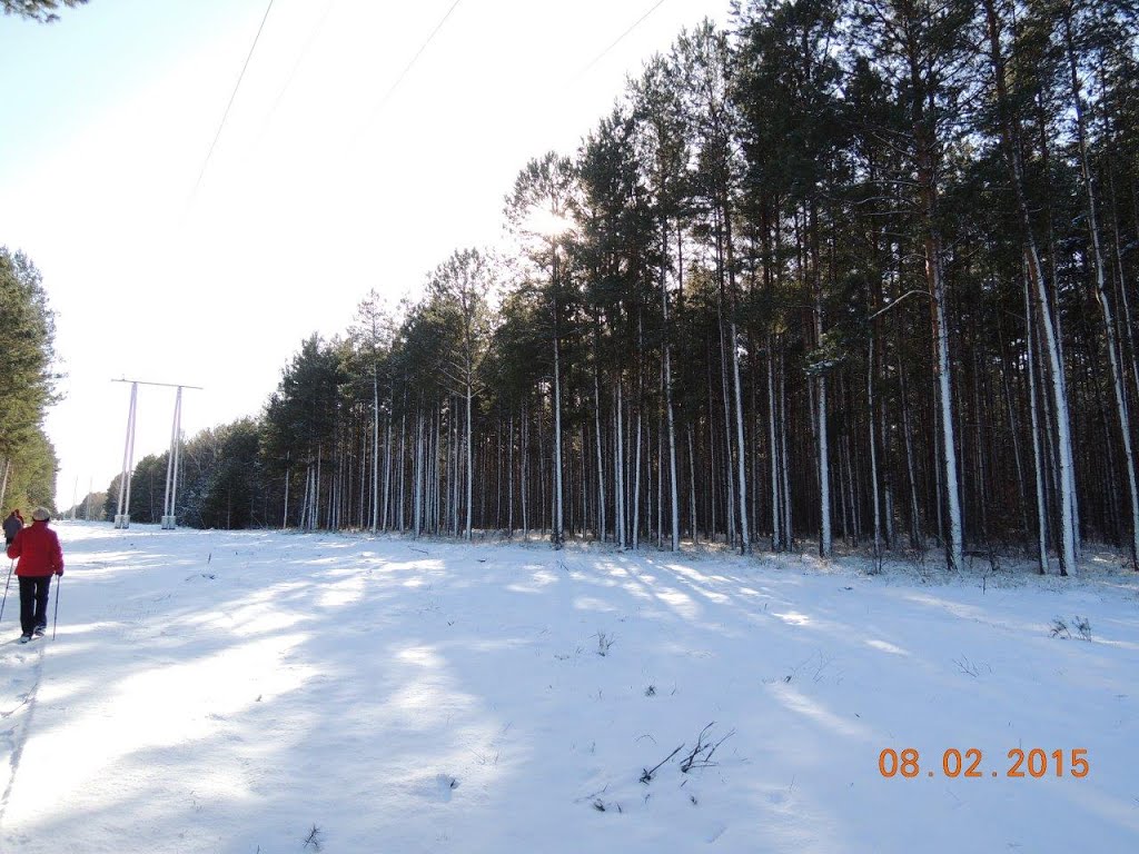 Polska, Bydgoszcz, Las Gdański. Poland, Bydgoszcz, Gdansk Forest. by Andrzej Meller