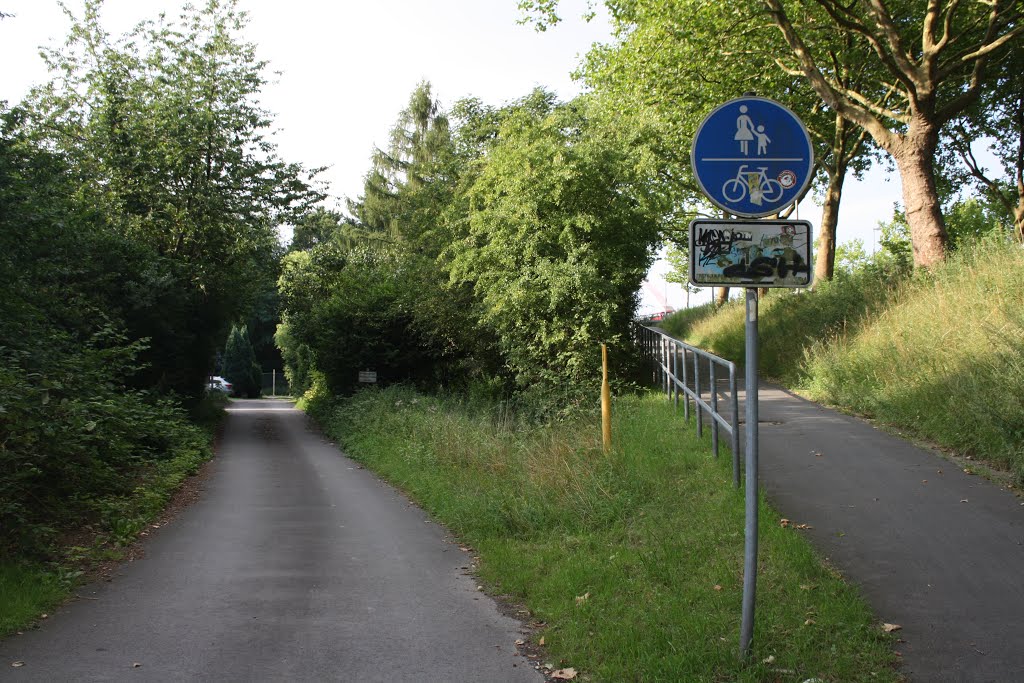 Gabelung an der Horsthauser Strasse in Herne by Wanne-Eickeler