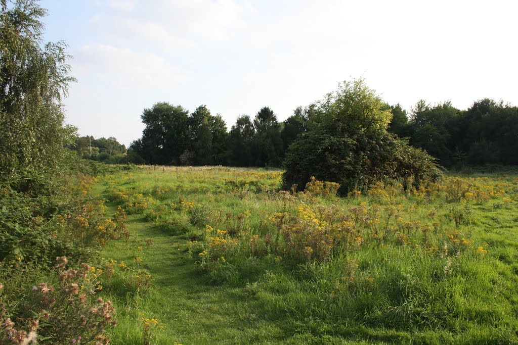 Weide am Hülsmanns Hof in Herne-Baukau by Wanne-Eickeler