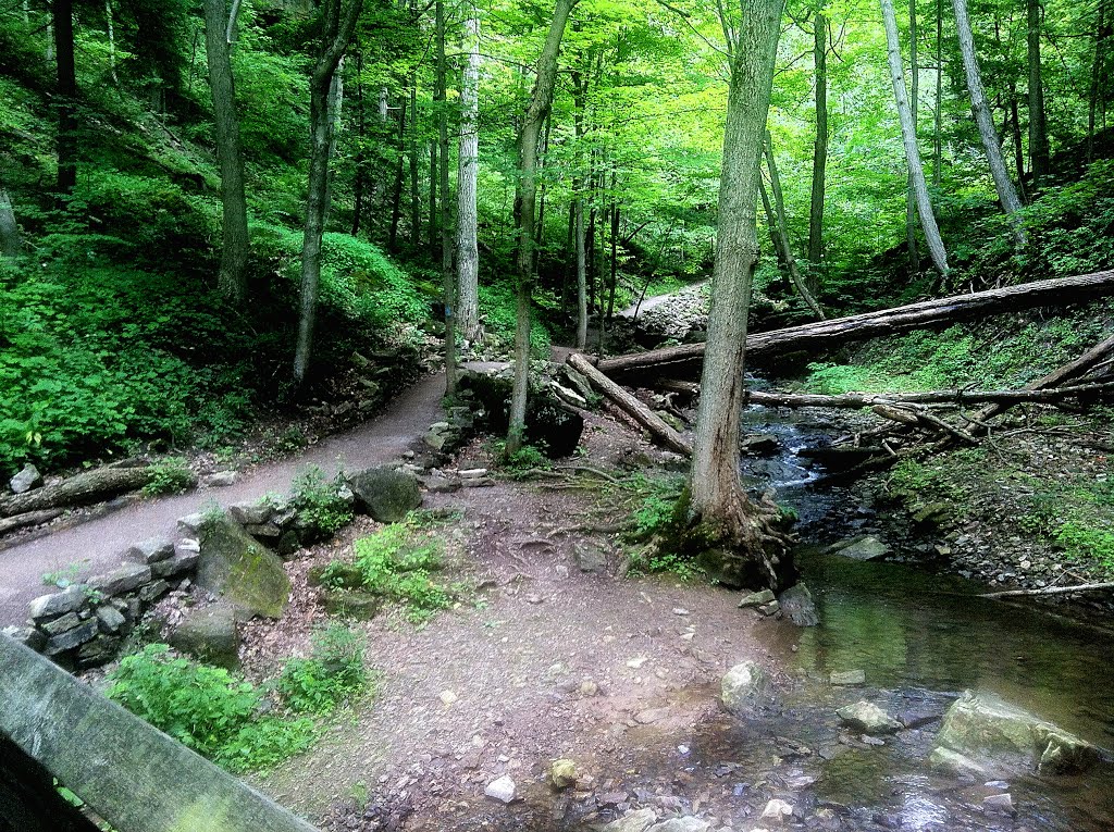 Tiffany Falls, Hamilton, ON, Canada by Boleslaw Dworzak