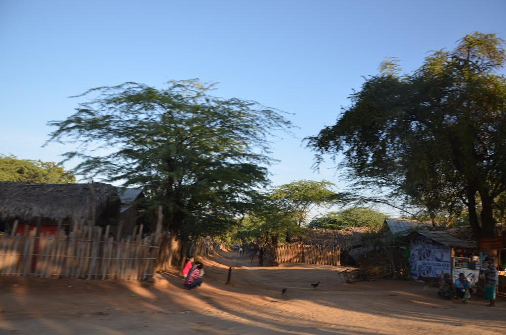 Nyaung U - Myingyan Rd, Myanmar (Burma) by rzin1954