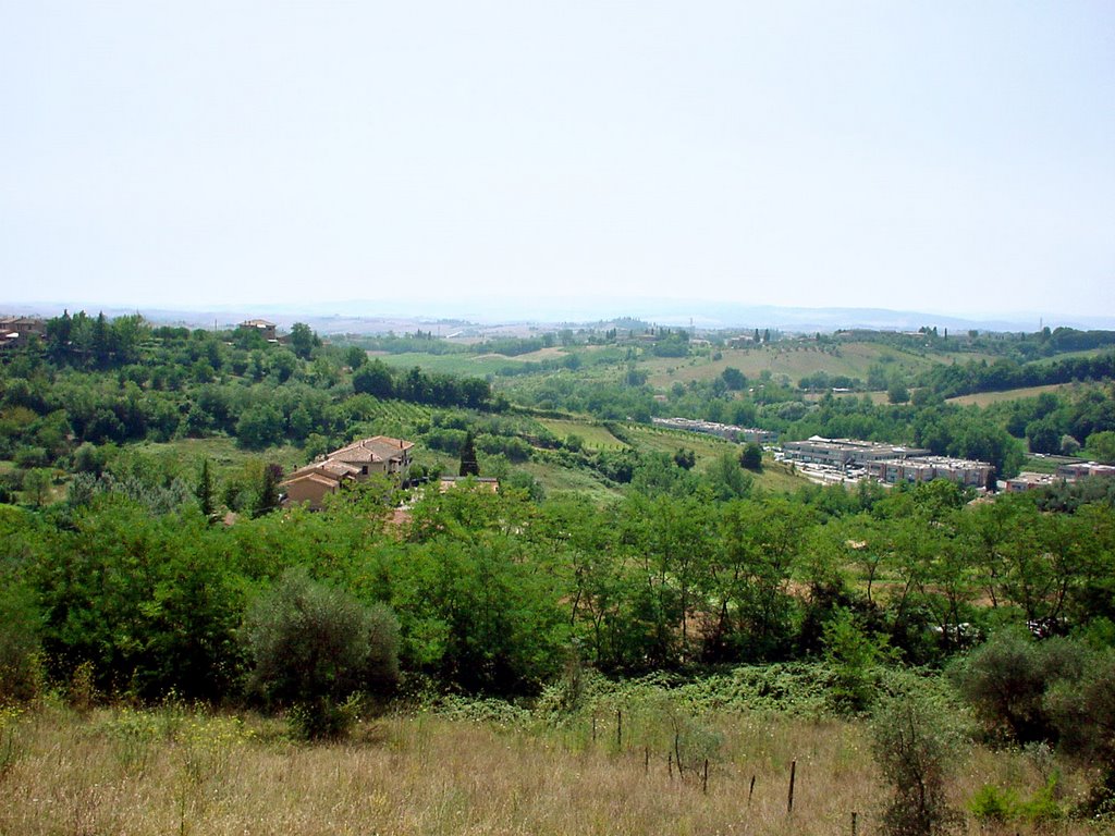 Landscape of Tuscany (near Siena) by Tjarko Evenboer