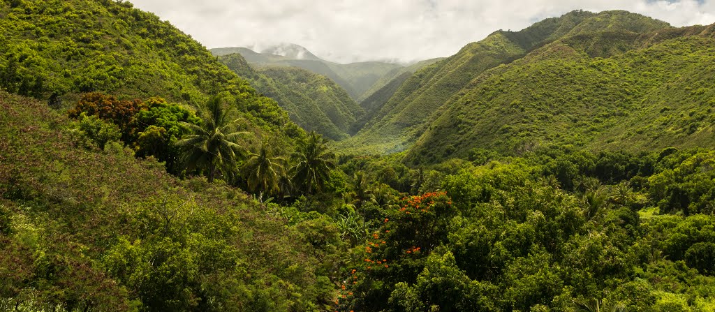 Kahului-Wailuku, HI, HI, USA by Morrish