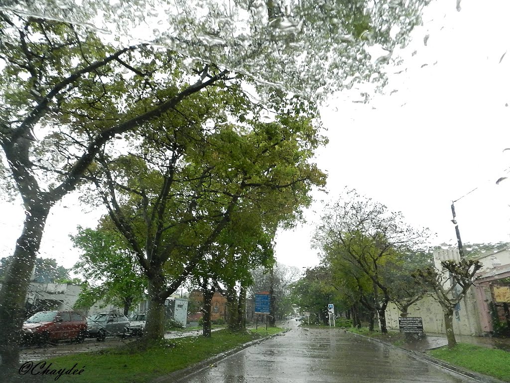 Temporal en San Antonio de Areco. by C haydeé