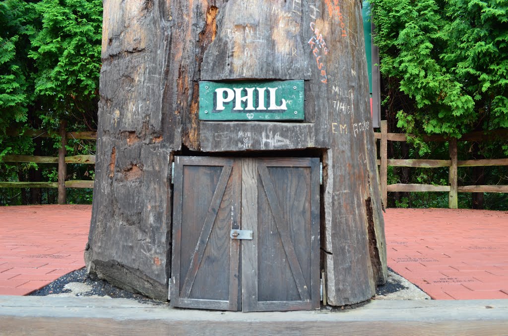 Phil's Door by Ryan Mori