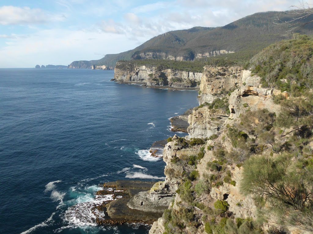 Looking south along the coastline from Tasmans Arch, Eaglehawk Neck, 23032014 by Greagoir Cathasaigh