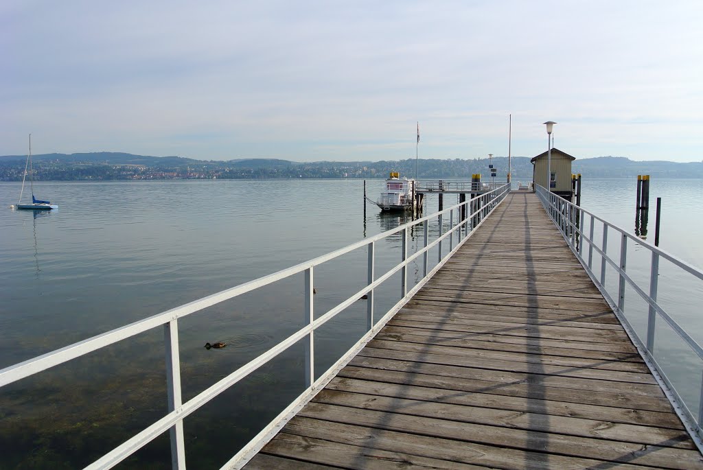 Bodensee, Dingelsdorf by Armin Engst