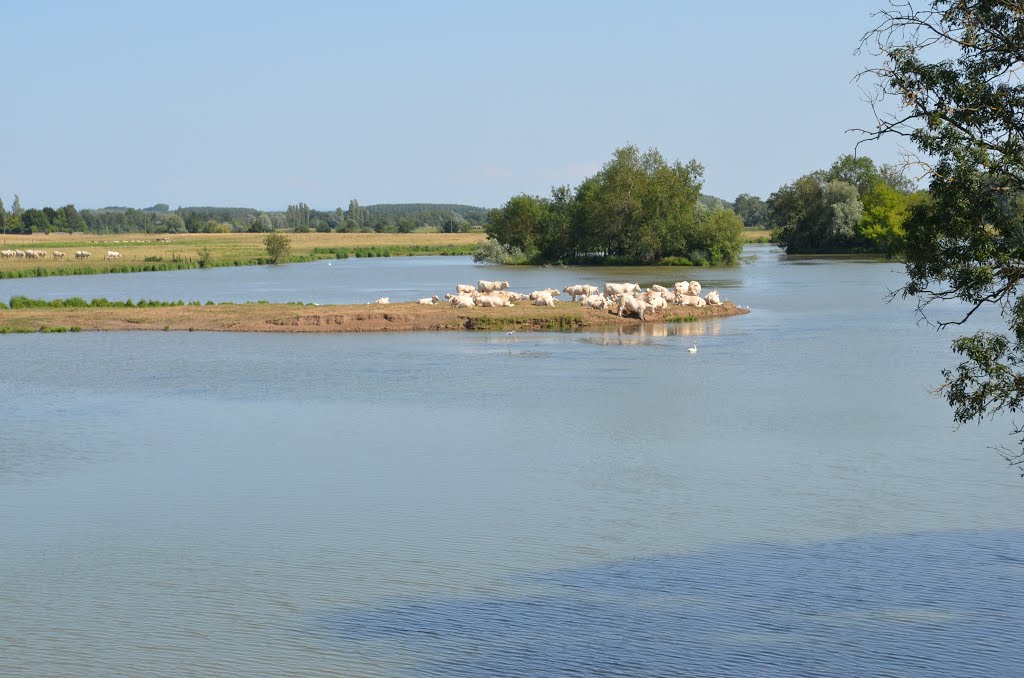 La Saône près de Marnay by Marc Pantillon