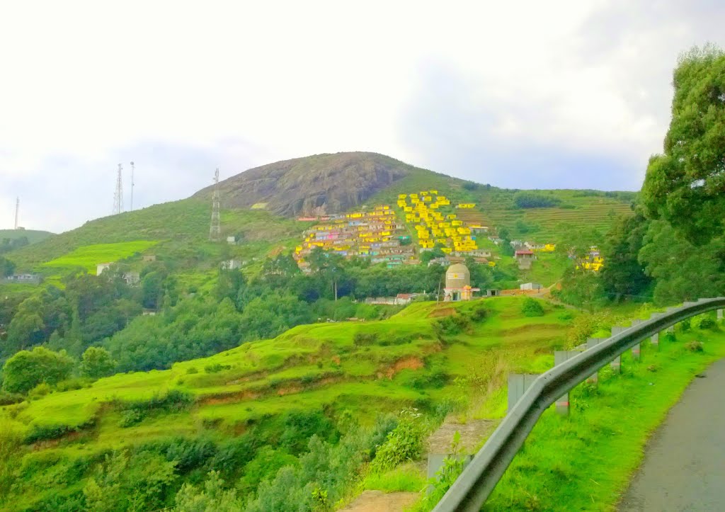 Colony on Slopes,Nilgiris, Tamil Nadu, India by Kamalakar Anthati