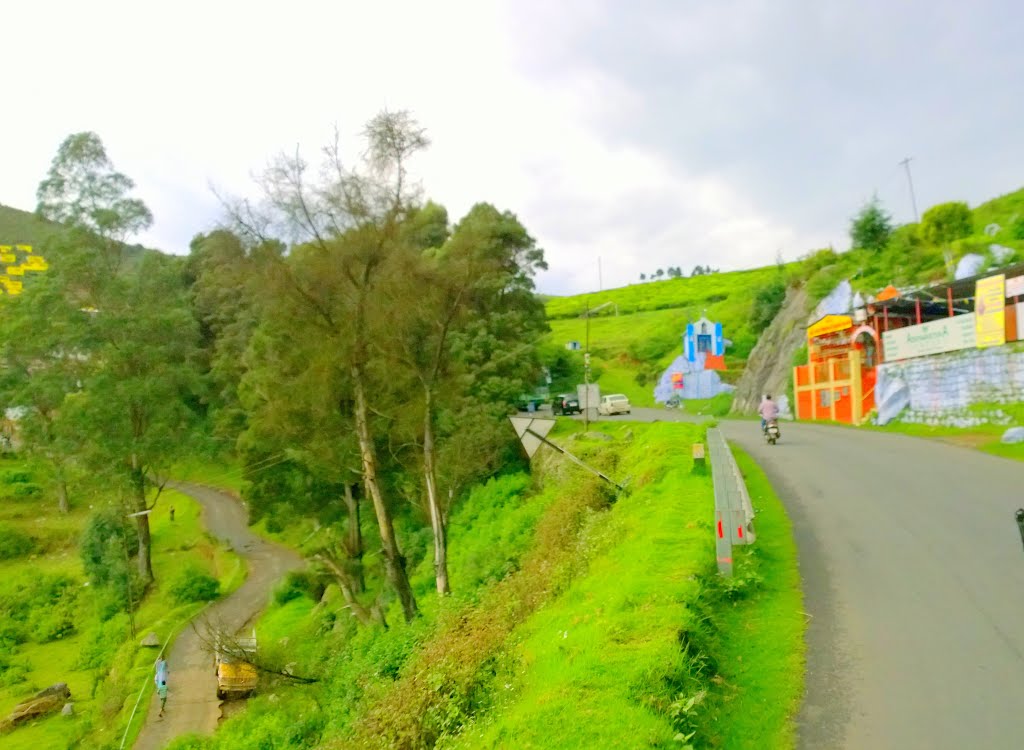 Valley road,Nilgiris, Tamil Nadu, India by Kamalakar Anthati