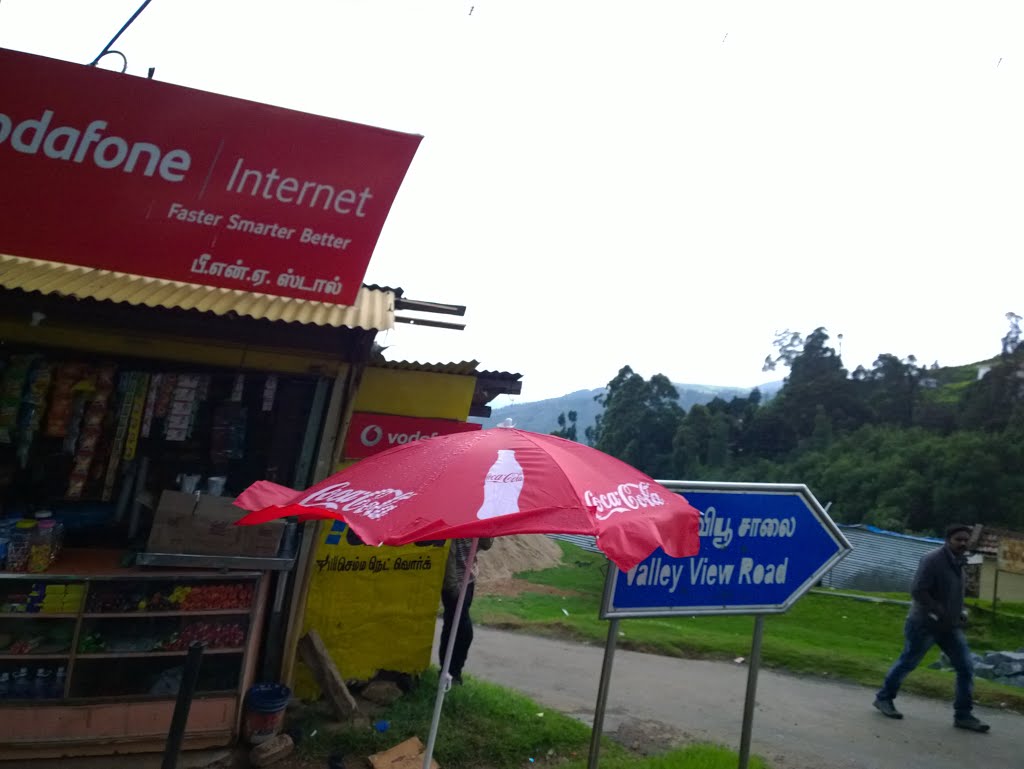 Valley View Road,Nilgiris, Tamil Nadu, India by Kamalakar Anthati