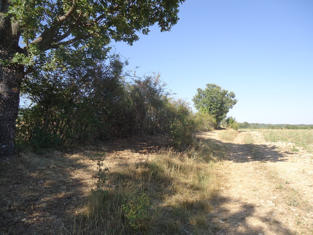 Chemin sur Clémentine en limite de Cruis & Montlaux by Claudius B.