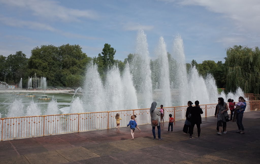 BATTERSEA PARK FOUNTAINS by Alan McFaden