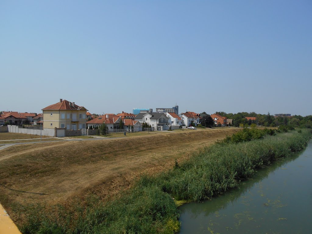 Zrenjanin 12.8.2015. by Splitski Četnik