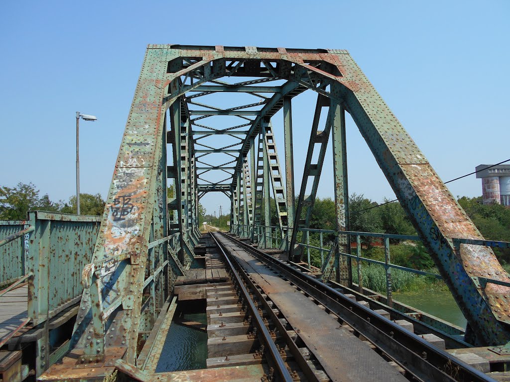 Železnički most u Zrenjaninu by Splitski Četnik