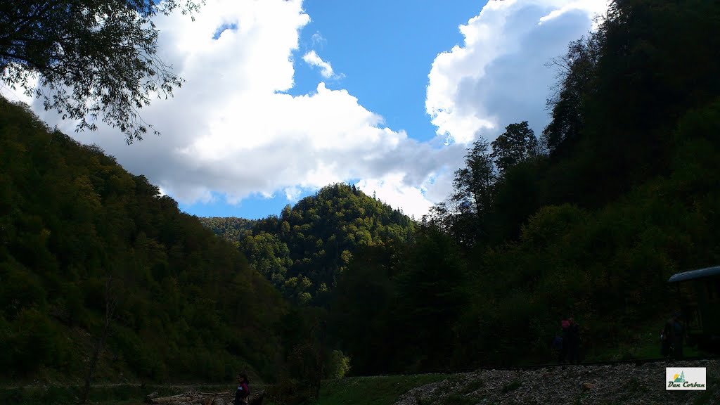 Paltin-Viseul de Sus-Maramures by Dan Danu