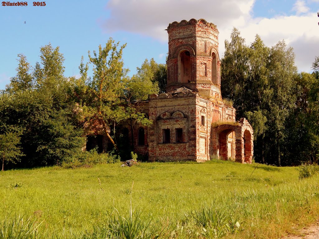 Разбураная царква ... A ruined church by diluted88