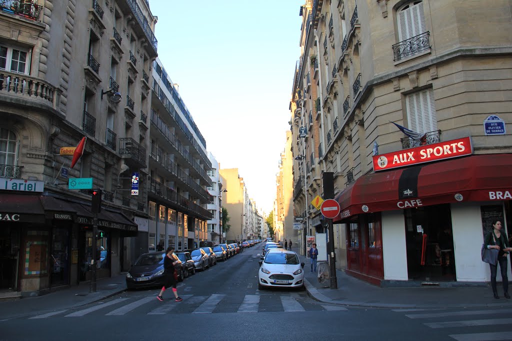 Rue des Morillons by Roman Tcymbal