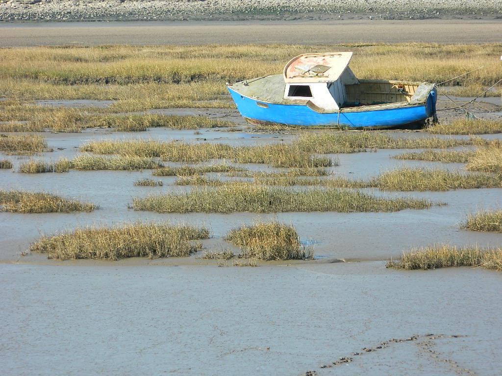 Barry, UK by dean brown