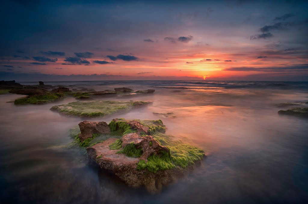 Israel National Trail, Beit Yanai, Israel by weegone