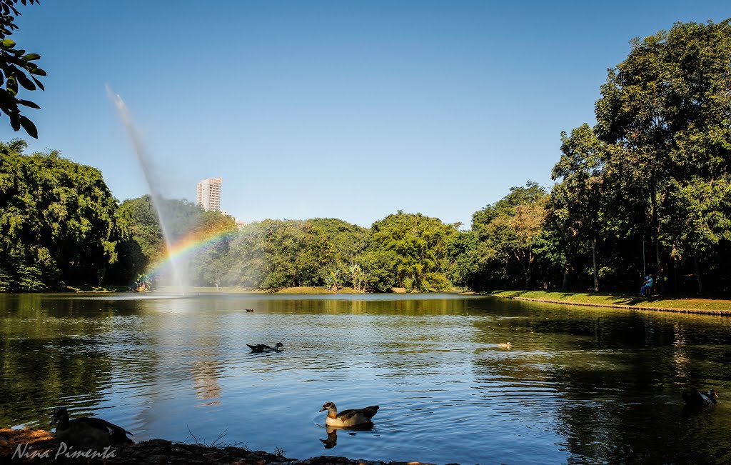 Parque Areião Goiânia Goiás! by Nina Pimenta