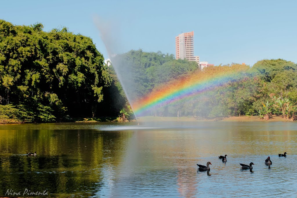 Parque Areião Goiânia Goiás! by Nina Pimenta