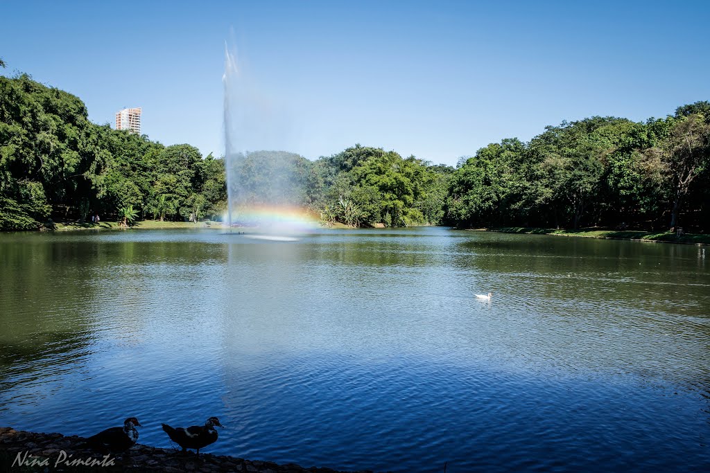 Parque Areião Goiânia Goiás! by Nina Pimenta