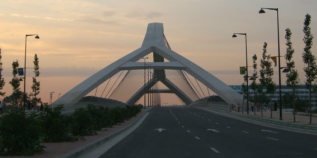 Puente del Tercer Milenio by Jose Luis Echeverria