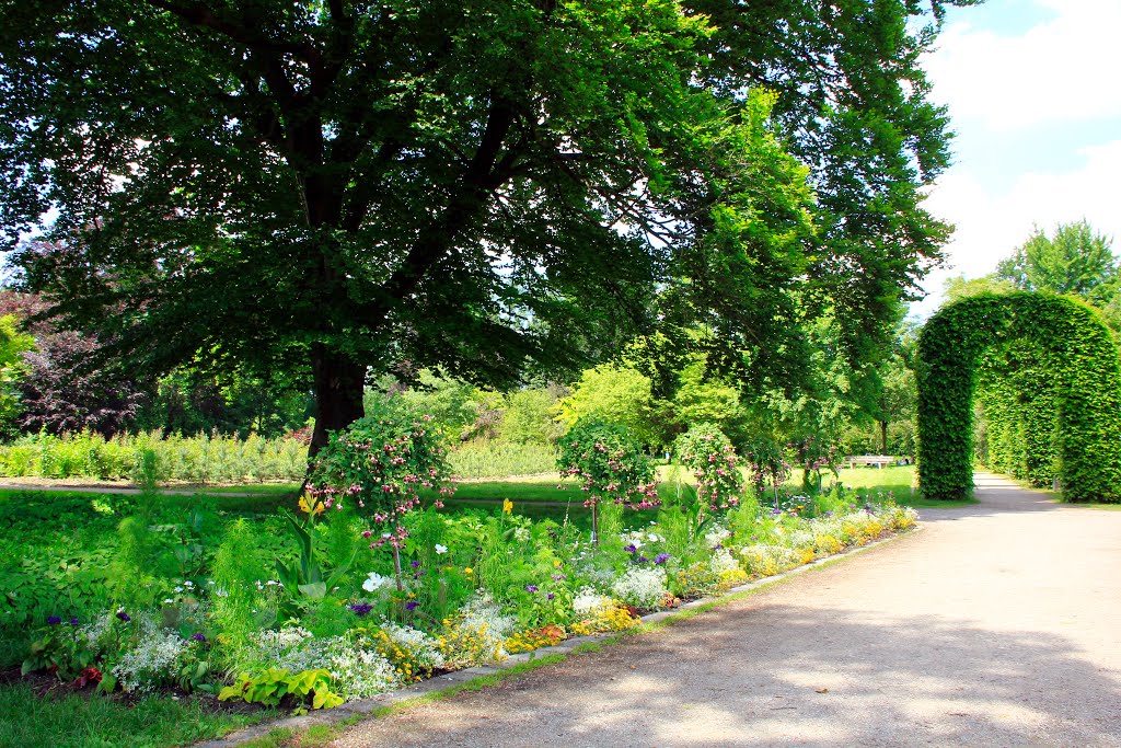 Bayern. Munchen. Rosengarten by Igor Lazarevich