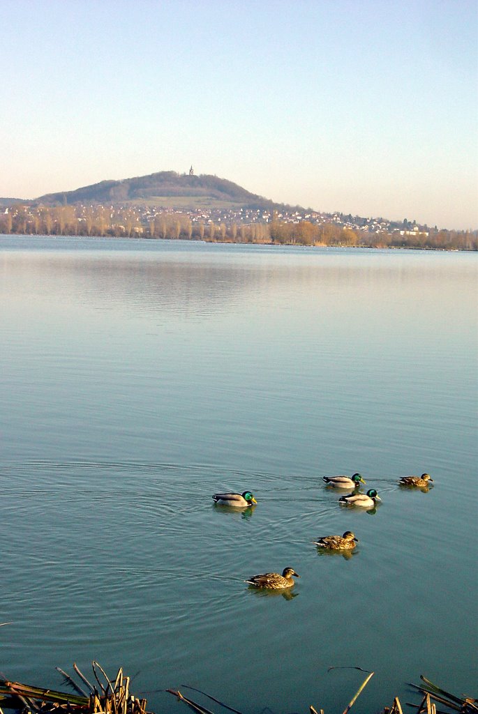 Lac de Vaivre Haute Saône by MLeonard