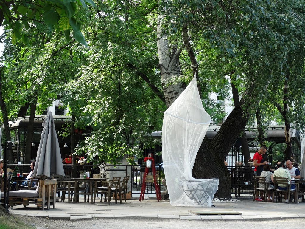 Open-air Cafe by Plamen B