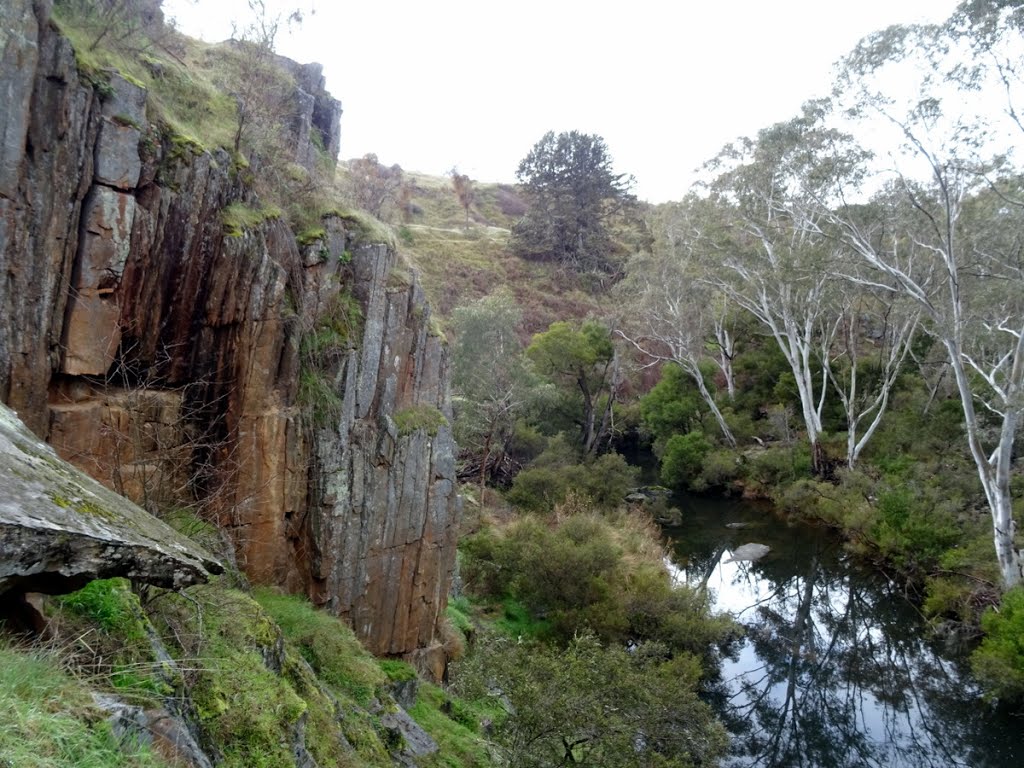 Loddon River, Vaughan Springs by Warwick Sellens