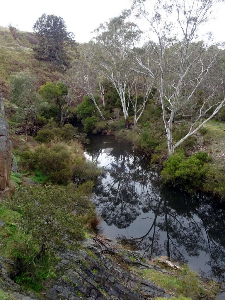 Loddon River, Vaughan Springs by Warwick Sellens