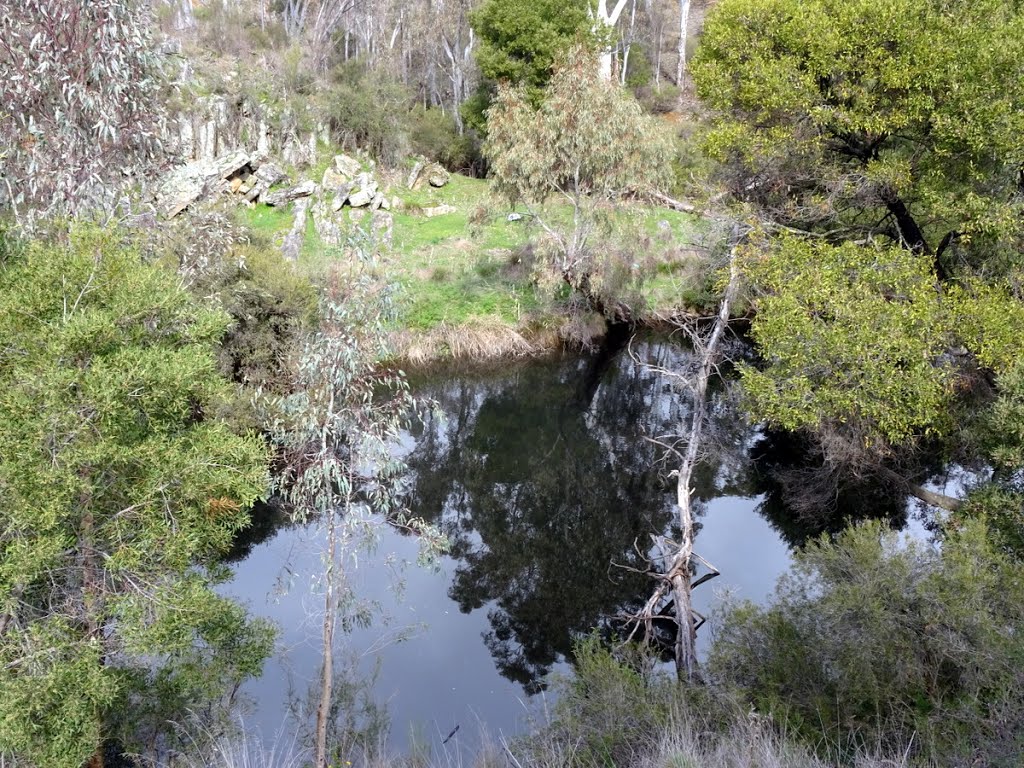 Loddon River, Vaughan Springs by Warwick Sellens