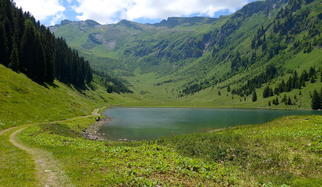 Lac de Gers 28.06.2015 by Jean-Luc.