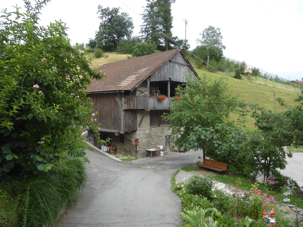 Altes historisches Bauernhaus oberhalb Tiefenbrunn by Fredy Kim