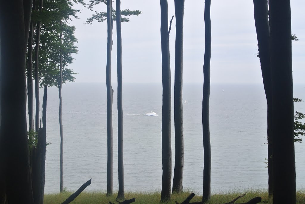 Nationalpark Jasmund - Stubbenkammer - jb by Juergen Buschmeier