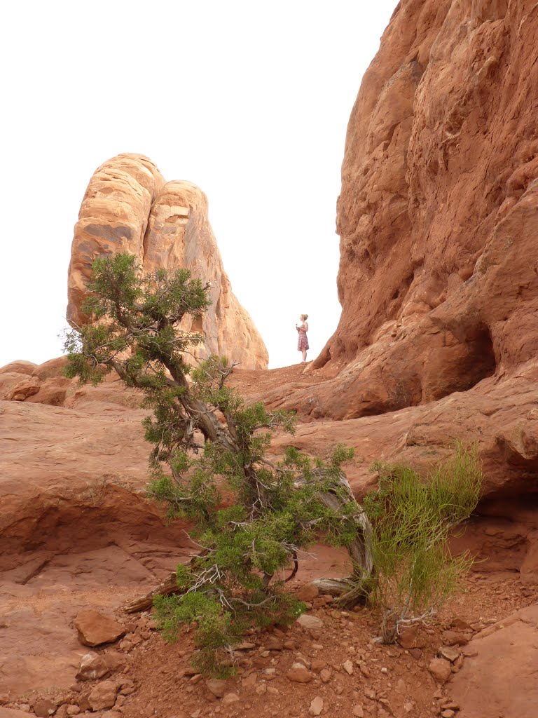 Arches National Park by Mark Chappell