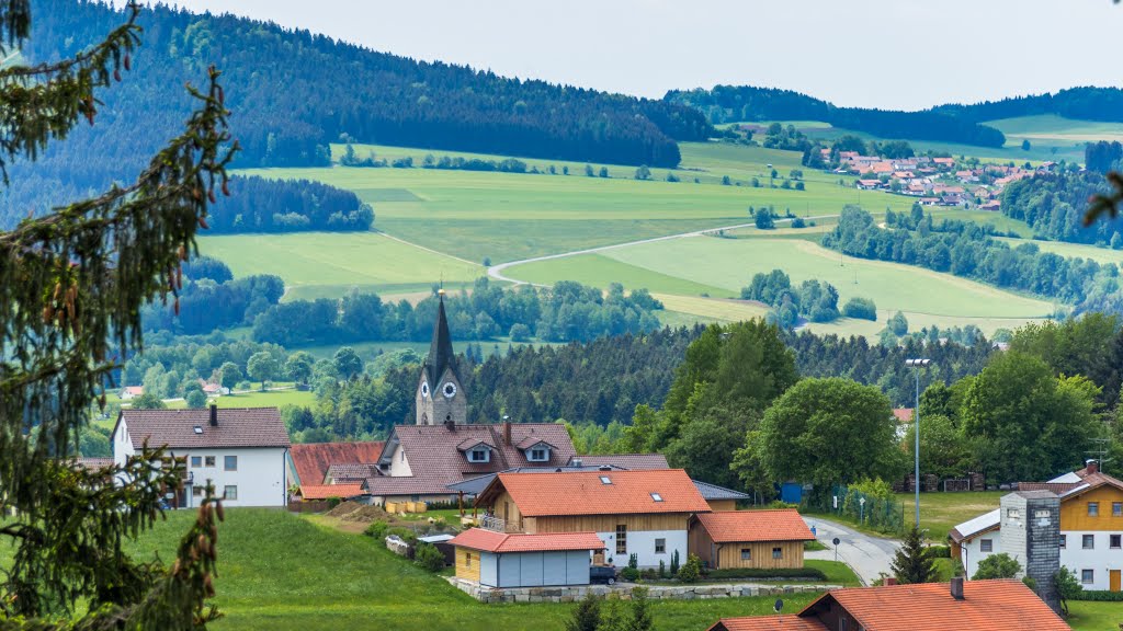 Blick auf Neuschönau vom Aussichtsturm am Baumwipfelpfad aus by moatlspeed