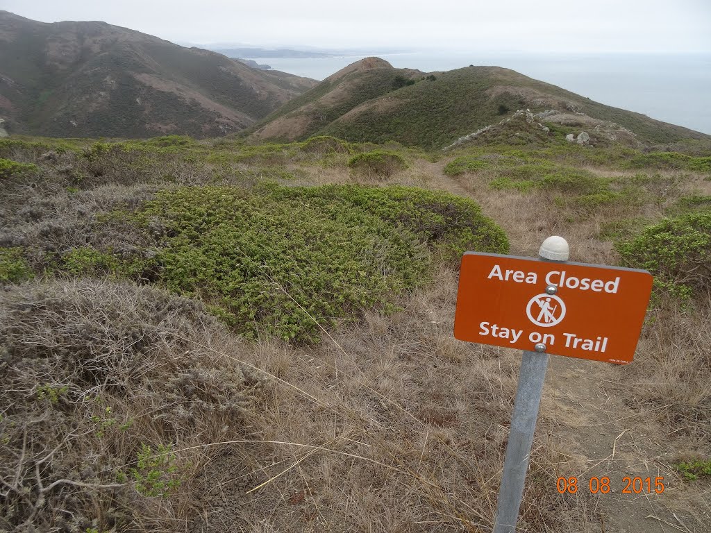 Marin County, CA, USA by Judy Judy