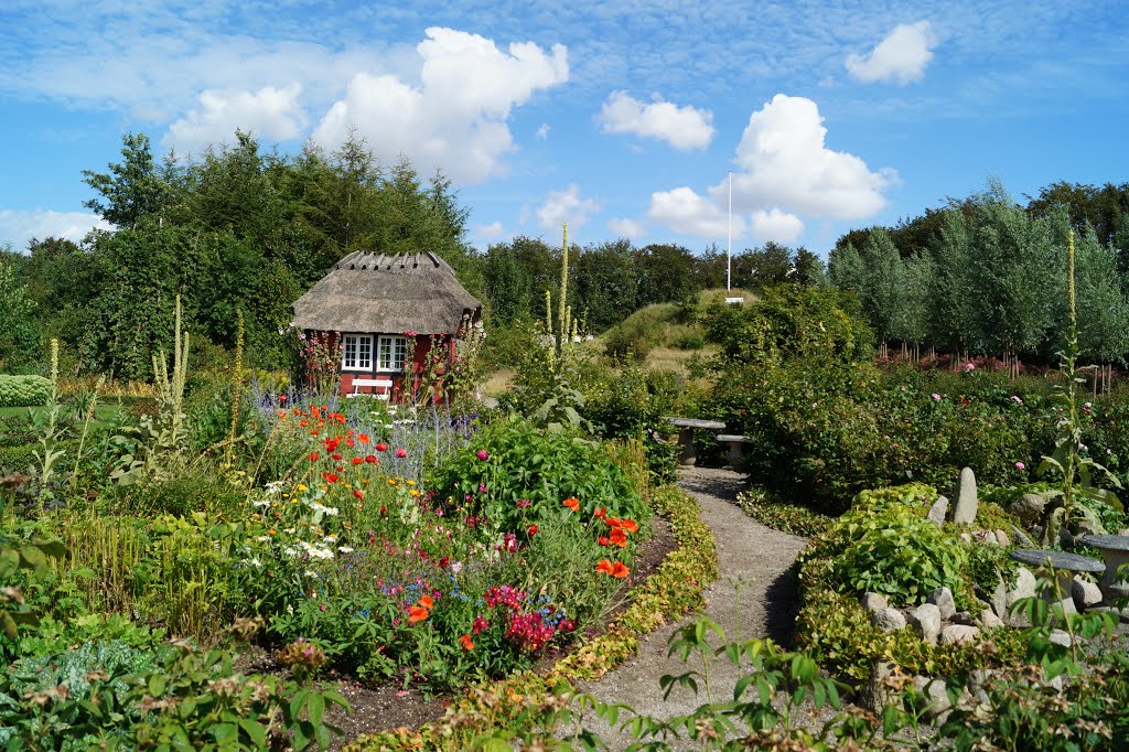 Bauerngarten im Humlemagasinet, Fünen, Dänemark. by HarryAusdemharz