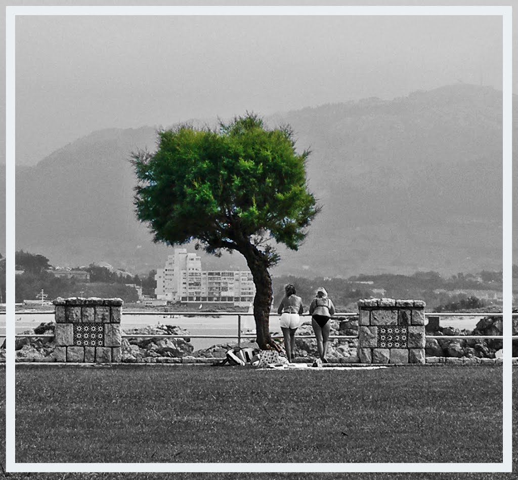 UN ARBOL..... by el indio JC