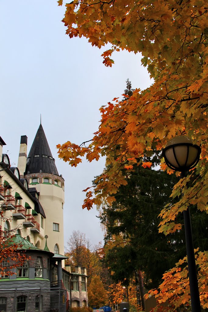 Imatra, Finland by svetlana dorokhova