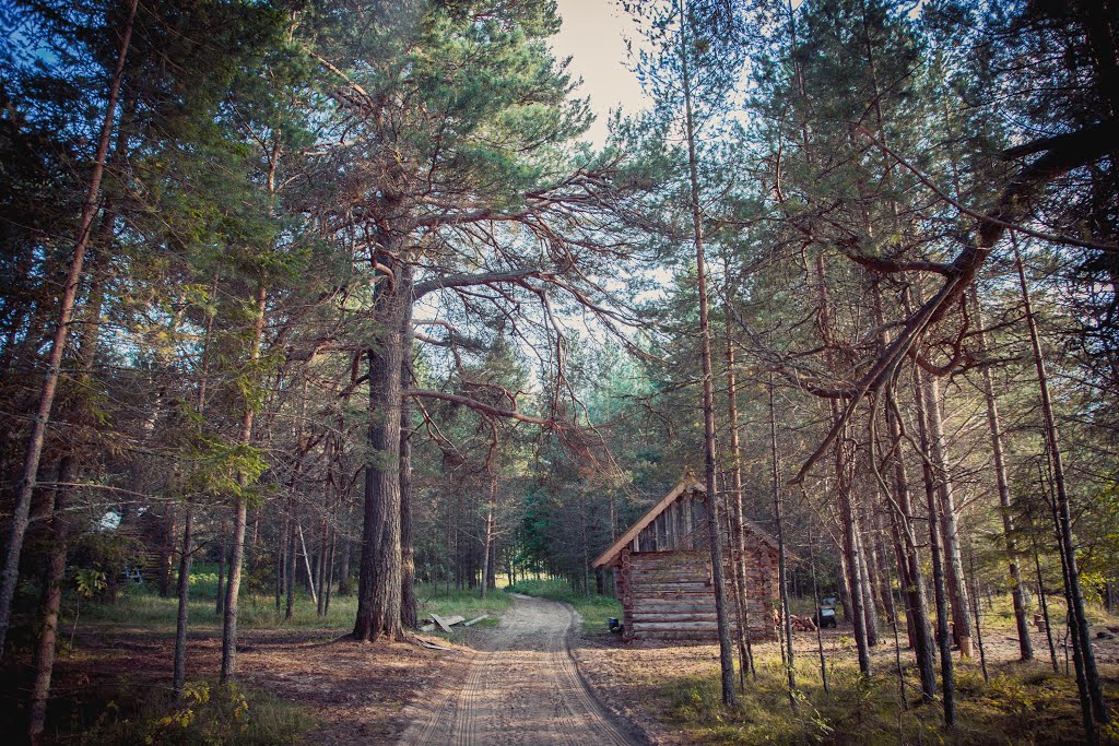 Pudozhsky District, Republic of Karelia, Russia by montenegrophoto.ru